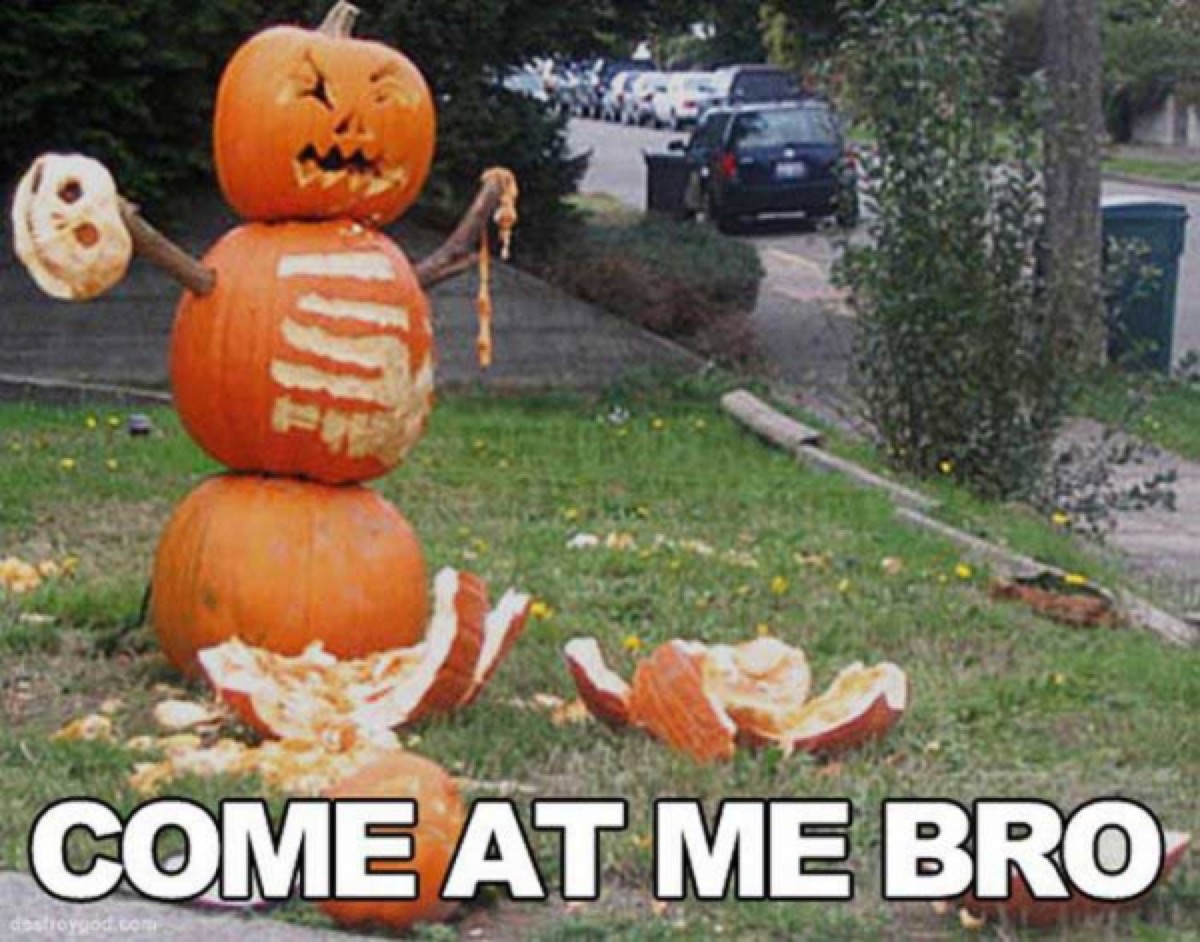 funny-halloween-meme-pumpkin.jpg?quality=82&strip=all