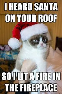 Grumpy-Cat-Christmas-Meme.jpeg.webp